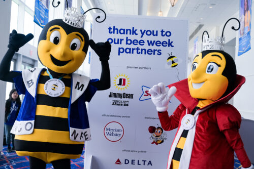 spellingbee b 500x334 1