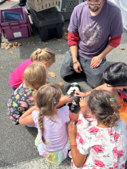 street fest 3 251x334 1