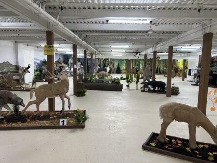 ten ring 3 445x334 1