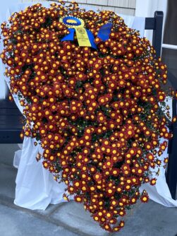 Mums 2 251x334 1