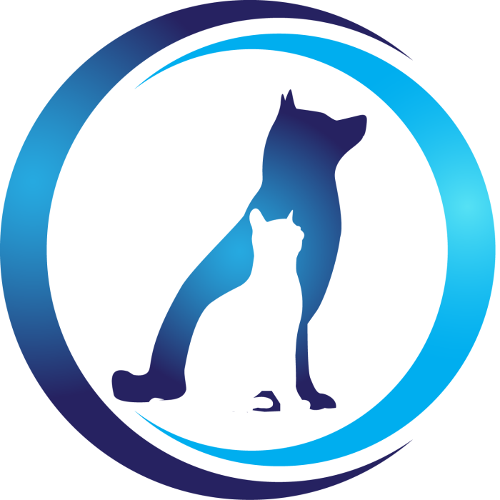 302291367 495692265894021 8888279307601813428 n