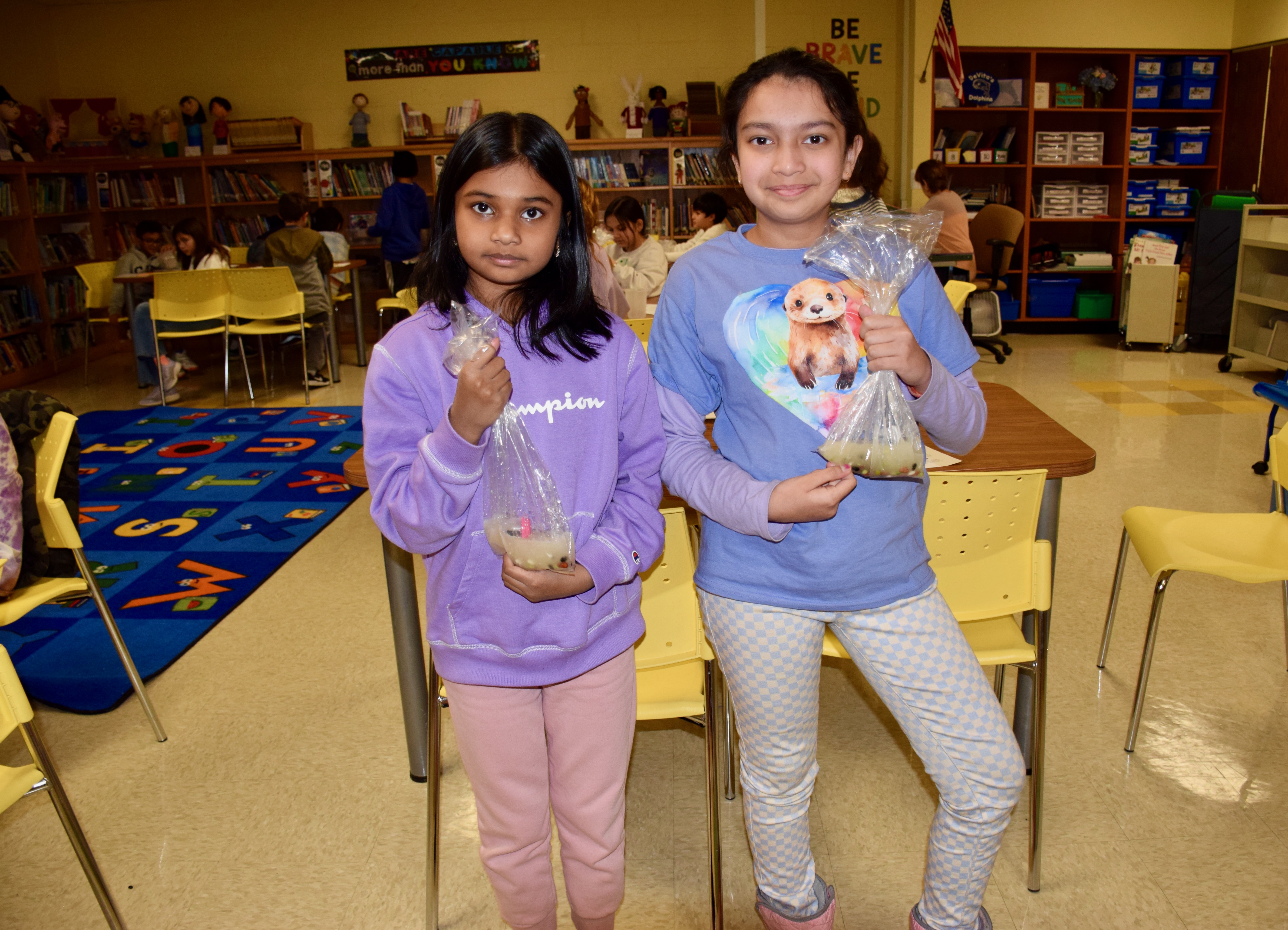 シルバニア us John's School シルバニア us John's School シルバニア us John's School St. John's