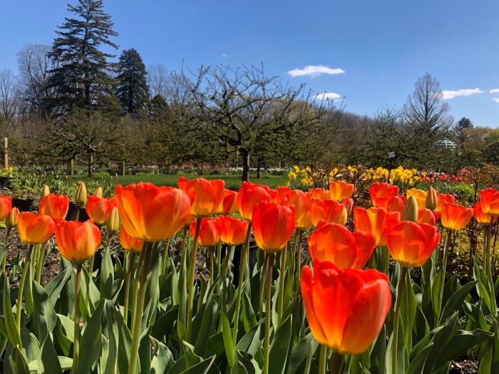 photo credit maura brush