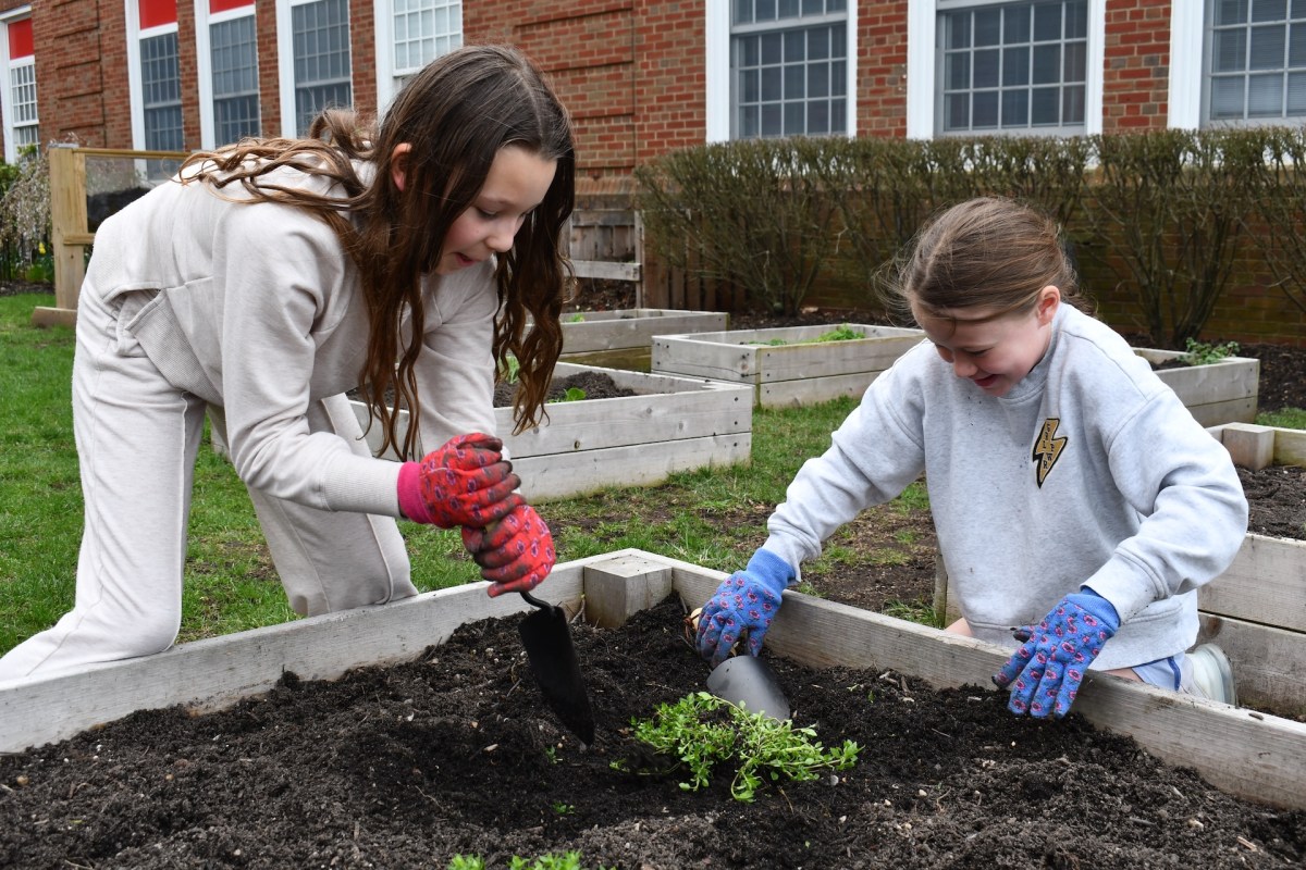5- Jackson 4th grade garden club