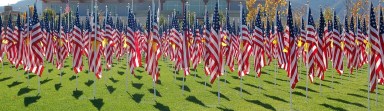 Field of Honor