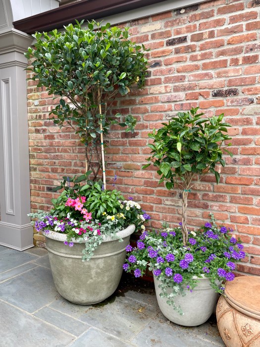 spring garden