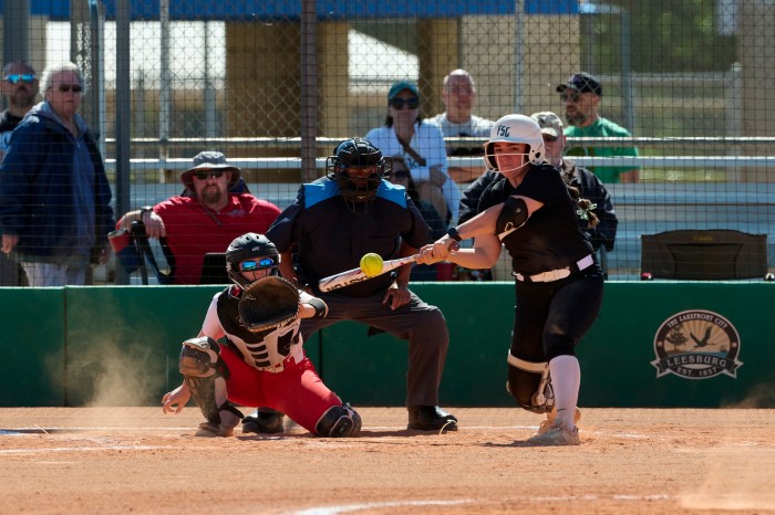 Senior Angelina Capuano hitting during Farmingdale State College's beginning of the season in Florida