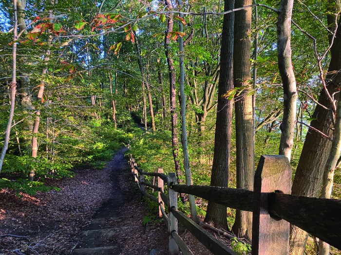 local hiking