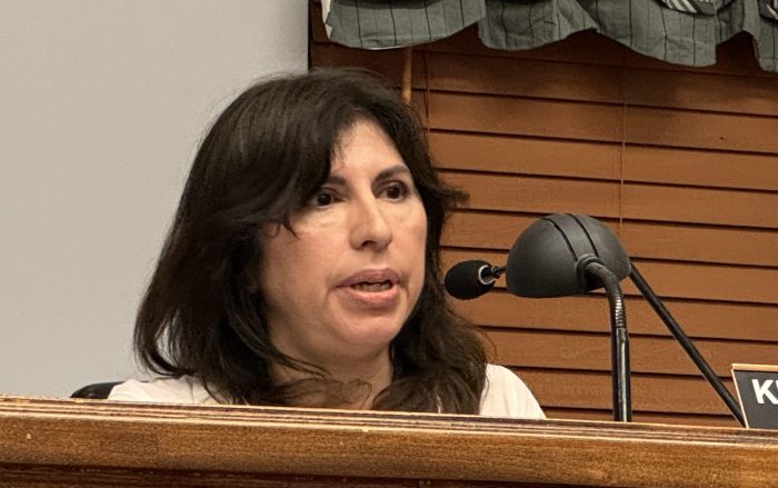 Manorhaven Trustee Khristine Shahipour said a third-party inspector should conduct its own enviornmental review process before the board votes on the 30 Sagamore Hill Drive application.