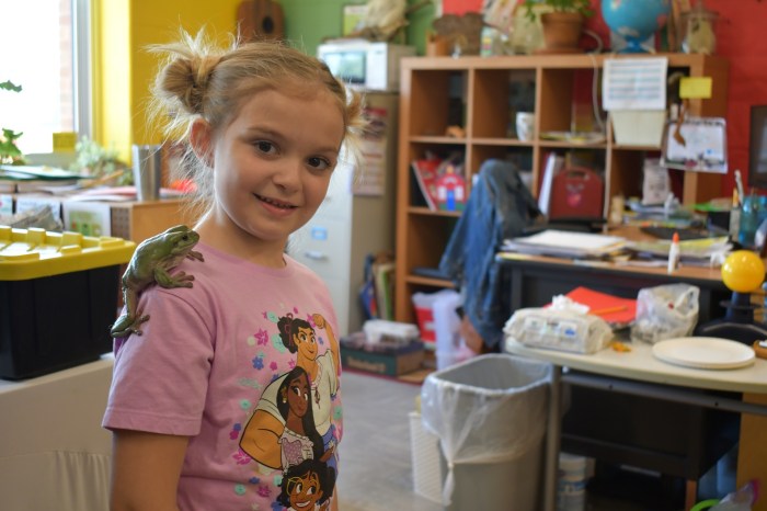 6 Hampton St Earth Celebration tree frog