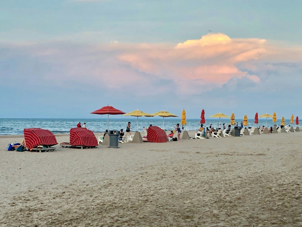 beachgoing rules