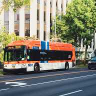 NICE Bus