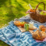 picnic