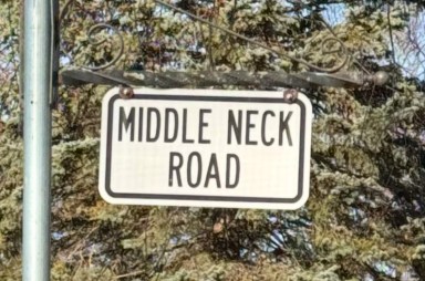 A 12-year-old boy was killed after being struck by a pickup truck in Flower Hill.