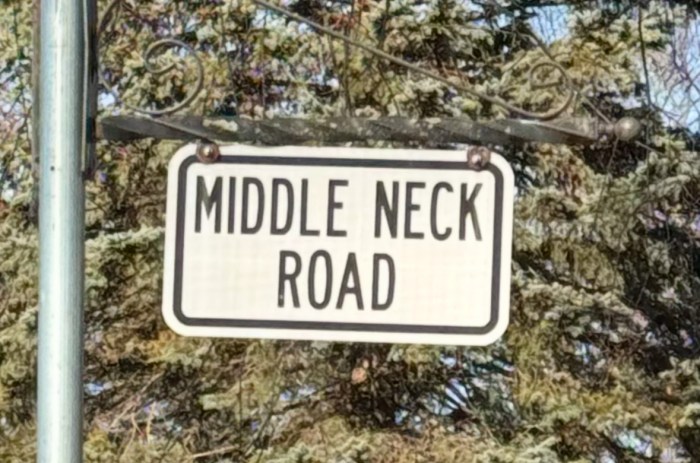 A 12-year-old boy was killed after being struck by a pickup truck in Flower Hill.