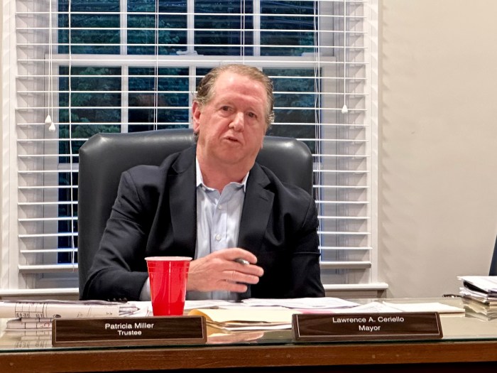 Munsey Park Mayor Lawrence Ceriello reassured residents that the village had not taken concrete steps to establish a playground at Waldmann Park.