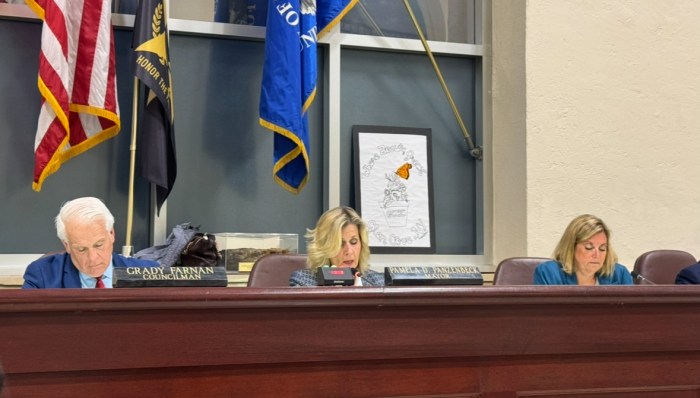 Glen Cove Mayor Pam Panzenbeck (C.) discusses battery energy storage systems and local noise laws with city council members