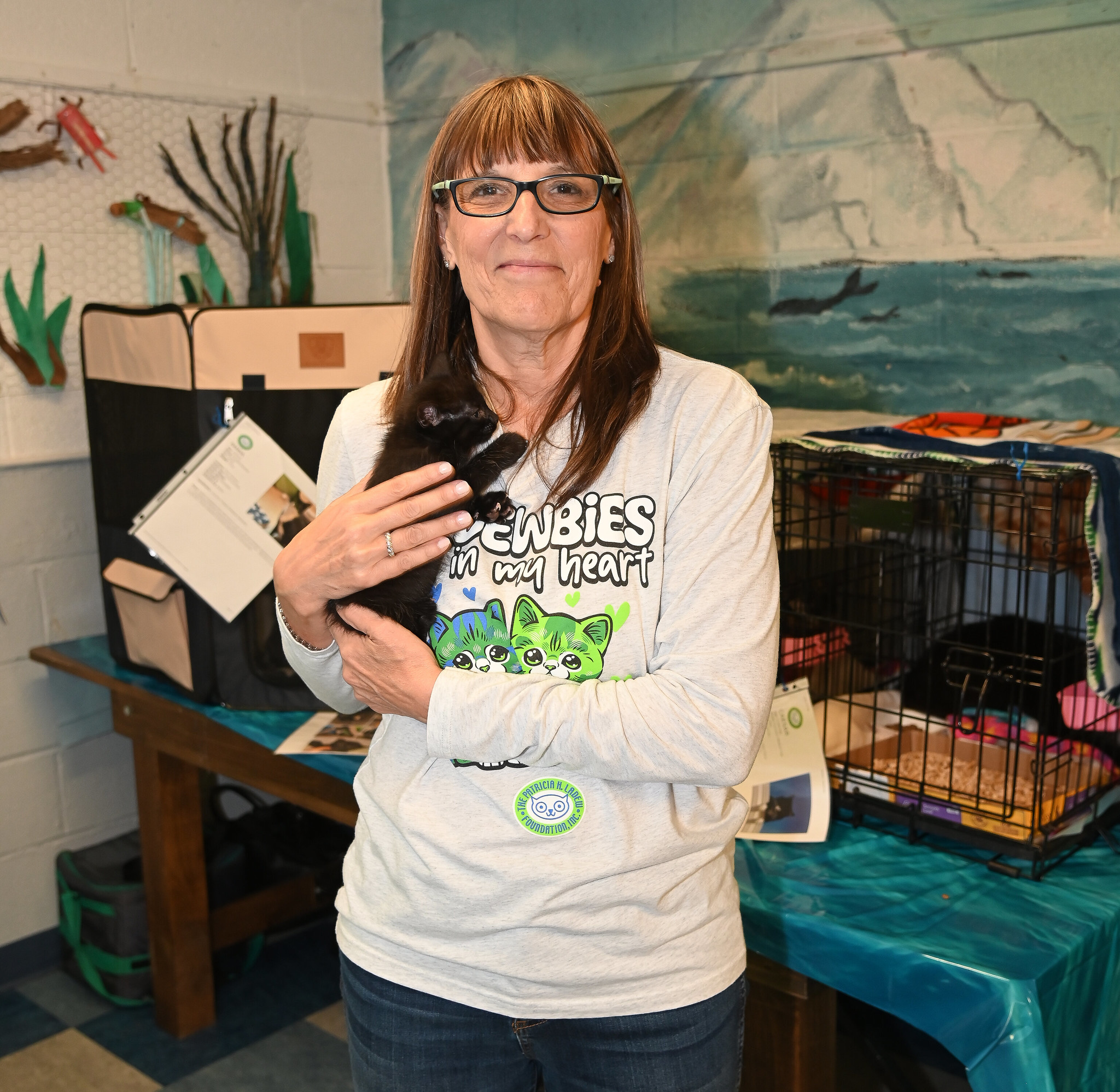 whaling museum of cold spring harbor all paws on hands cat adoption event 2025