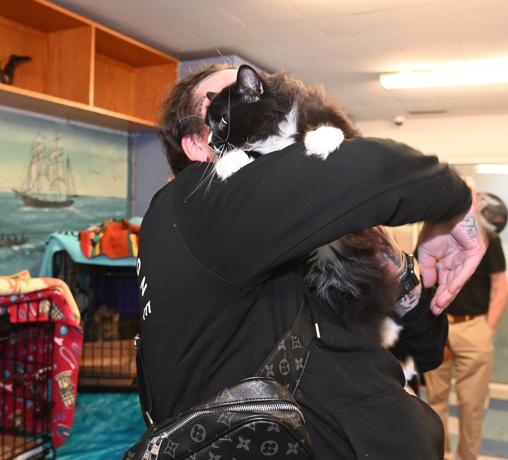 whaling museum of cold spring harbor all paws on hands cat adoption event 2025