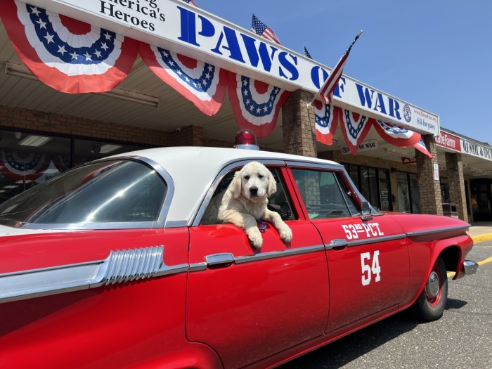 Paws of War