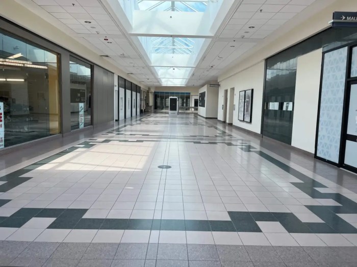 The top 5 stories in Long Island Press this week includes an update on Sunrise Mall.