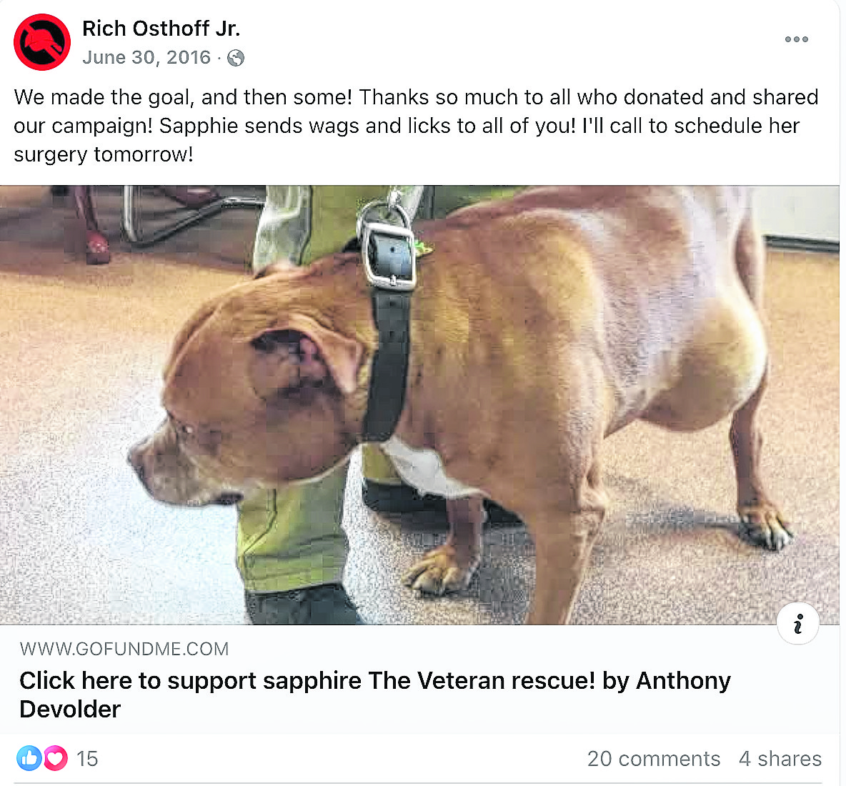 So far, George Santos has always contested direct participation in the Gofundme for the veteran Rich Osthoff's Service Dog, Sapphire.