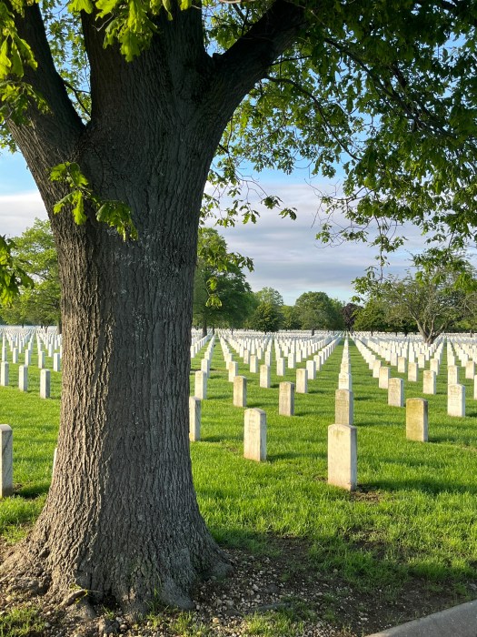 Memorial Day 2025