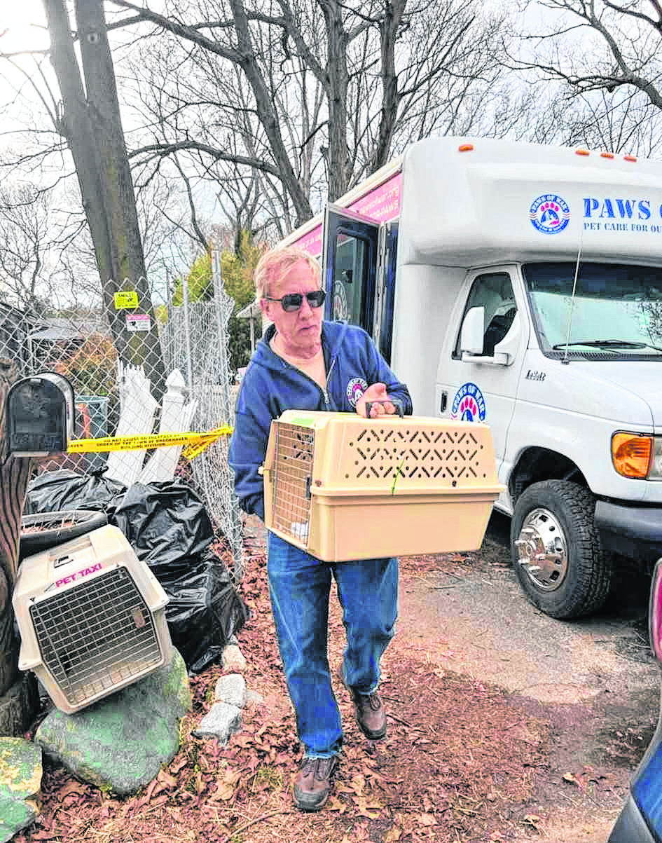 Nonprofit Paws of War is helping take care of cats who were hurt in Happy Cat Sanctuary fire.