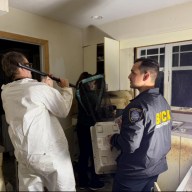 Feces and urine covered the walls and floors of the Bohemia home where 69 cats were found alive and more than 20 dead kittens were found in a freezer.