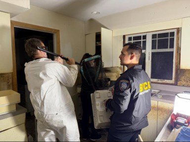 Feces and urine covered the walls and floors of the Bohemia home where 69 cats were found alive and more than 20 dead kittens were found in a freezer.
