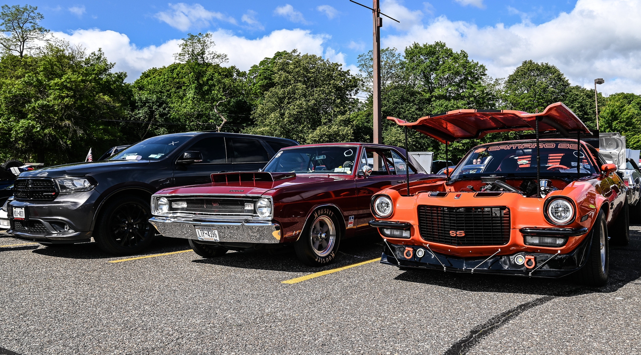 paws of war car show 2025