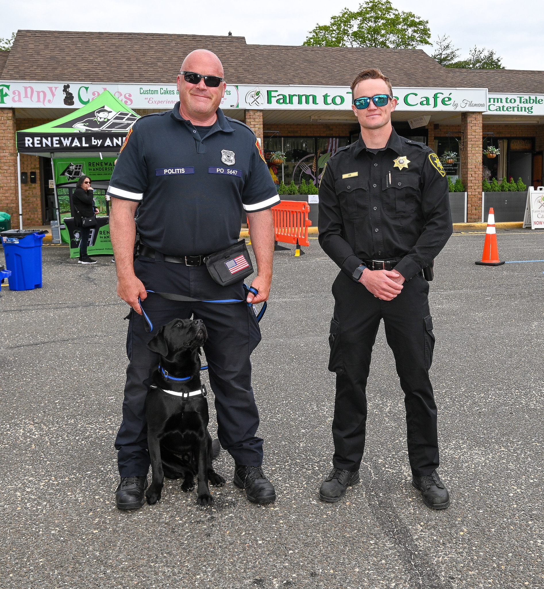 paws of war car show 2025