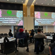 Farmingdale State College hosted the Long Island Cannabis Session to help educate marijuana growers.