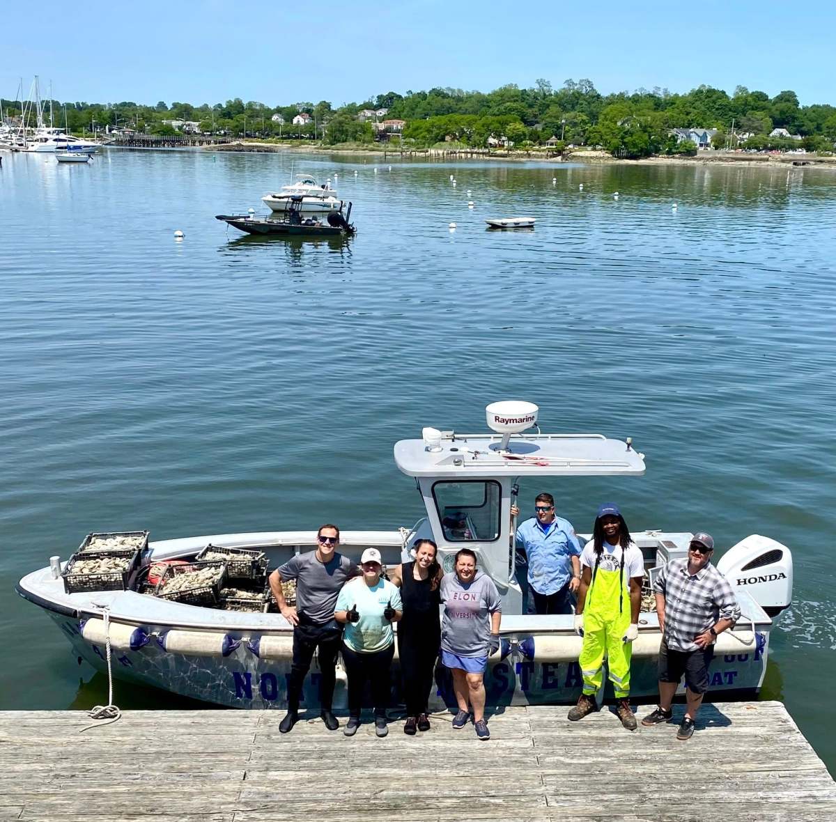 This is the fourth summer that North Hempstead has added one million oysters to Manhasset Bay, bringing the total seeded oysters to 5 million.