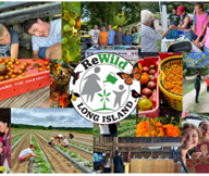 Rewild Long Island will kick off its summer program, engaging teen volunteers with a variety of environmentally-friendly activities.