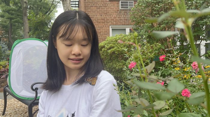 Great Neck's Cynthia Zhang was inspired to start her nonprofit after a fellow volunteer taught her about monarch butterflies.