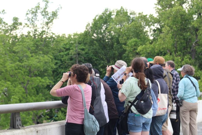 Great Neck Library patrons participating in bird watching, which is just one of many programs the library offers.