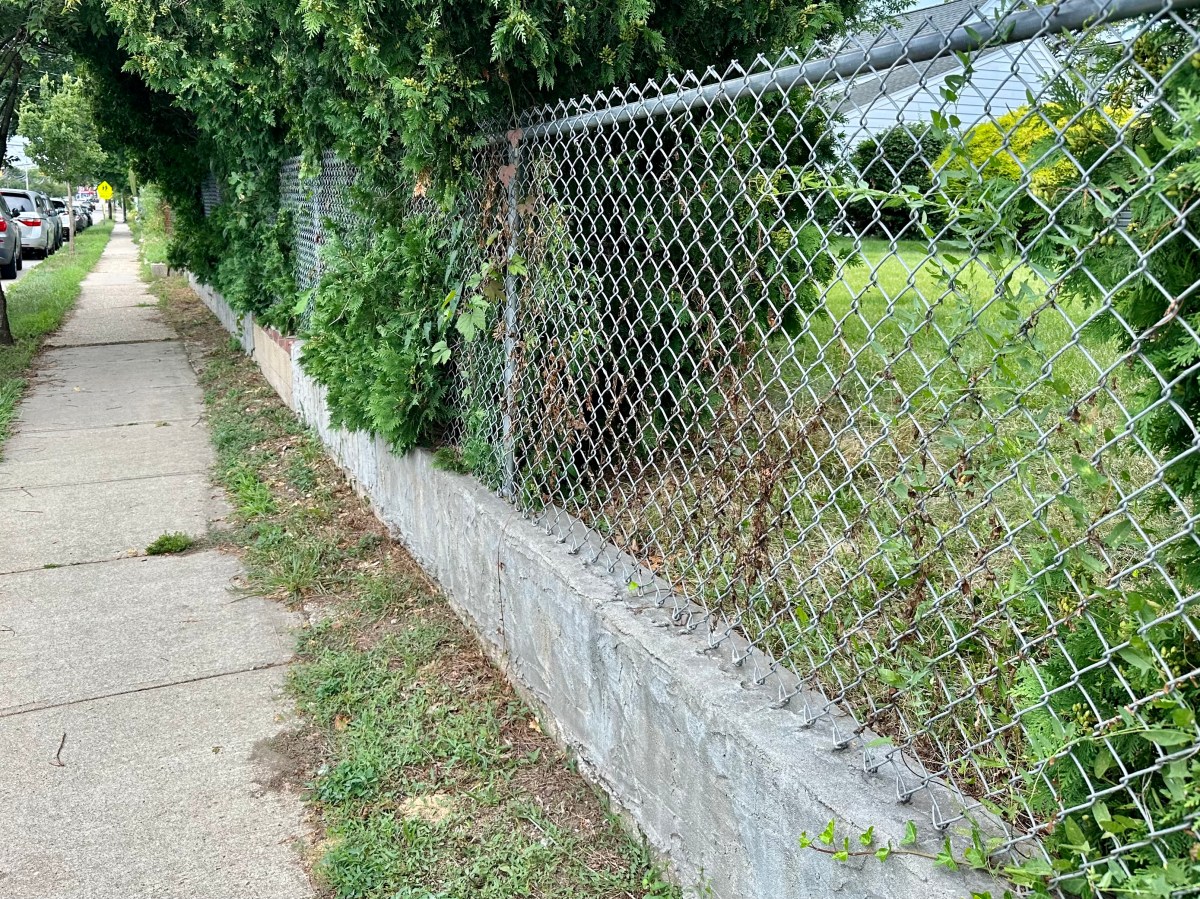 A residential fence along I U Willets Road.