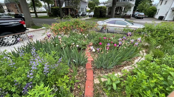 A New Hyde Park resident was summoned for violating the village's lawn maintenance policies for her native garden, which was dismissed in May so long as she moves taller plants.
