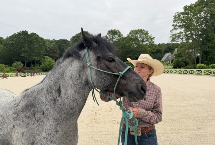 Luke, a horse that was about to be sent to the kill pen, now resides on Kalimian's farm in East Norwich.