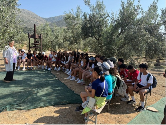 Buckley students learning about the process of making olive oil, feta, and other regional Greek foods.