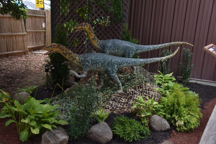 54705989086 e63b0acf24 k