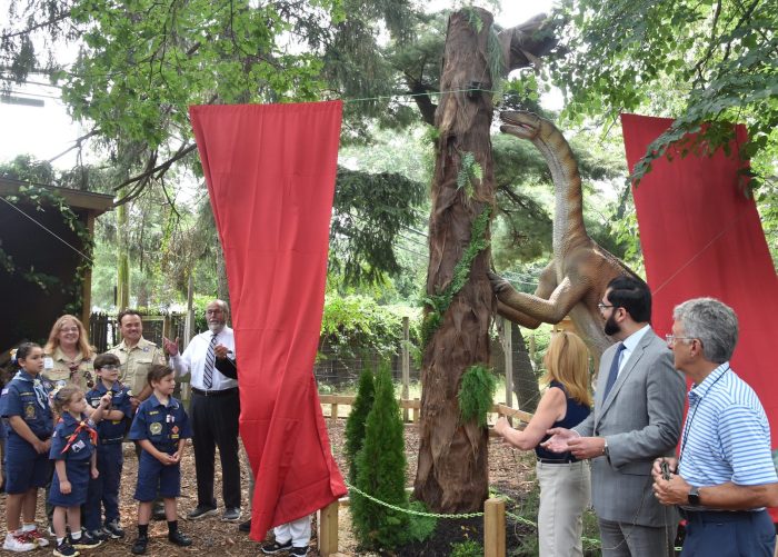 54707516441 e60df1674a k e1754928684370