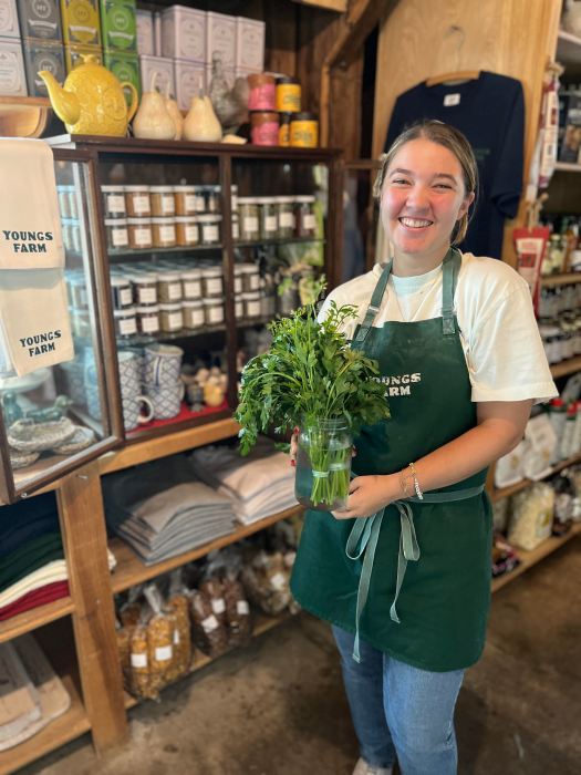 fresh herbs