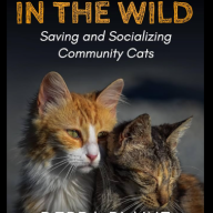 When Dr. Debra Blaine and John Debacker worked together to make 'Whiskers in the Wild,' a book about the world of community cats.