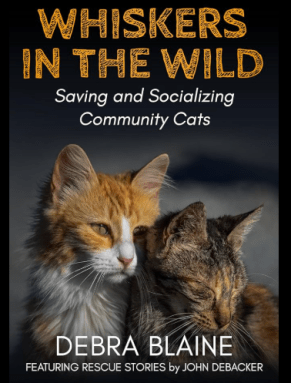 When Dr. Debra Blaine and John Debacker worked together to make 'Whiskers in the Wild,' a book about the world of community cats.