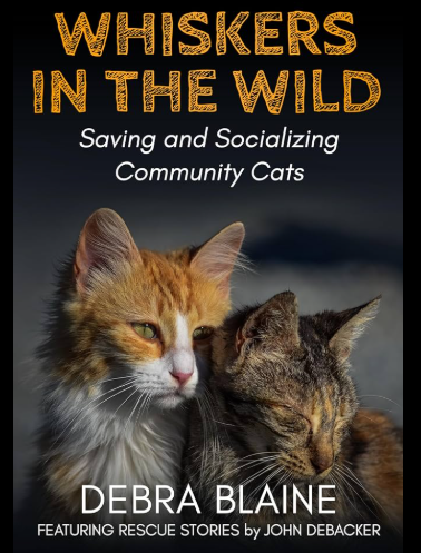When Dr. Debra Blaine and John Debacker worked together to make 'Whiskers in the Wild,' a book about the world of community cats.