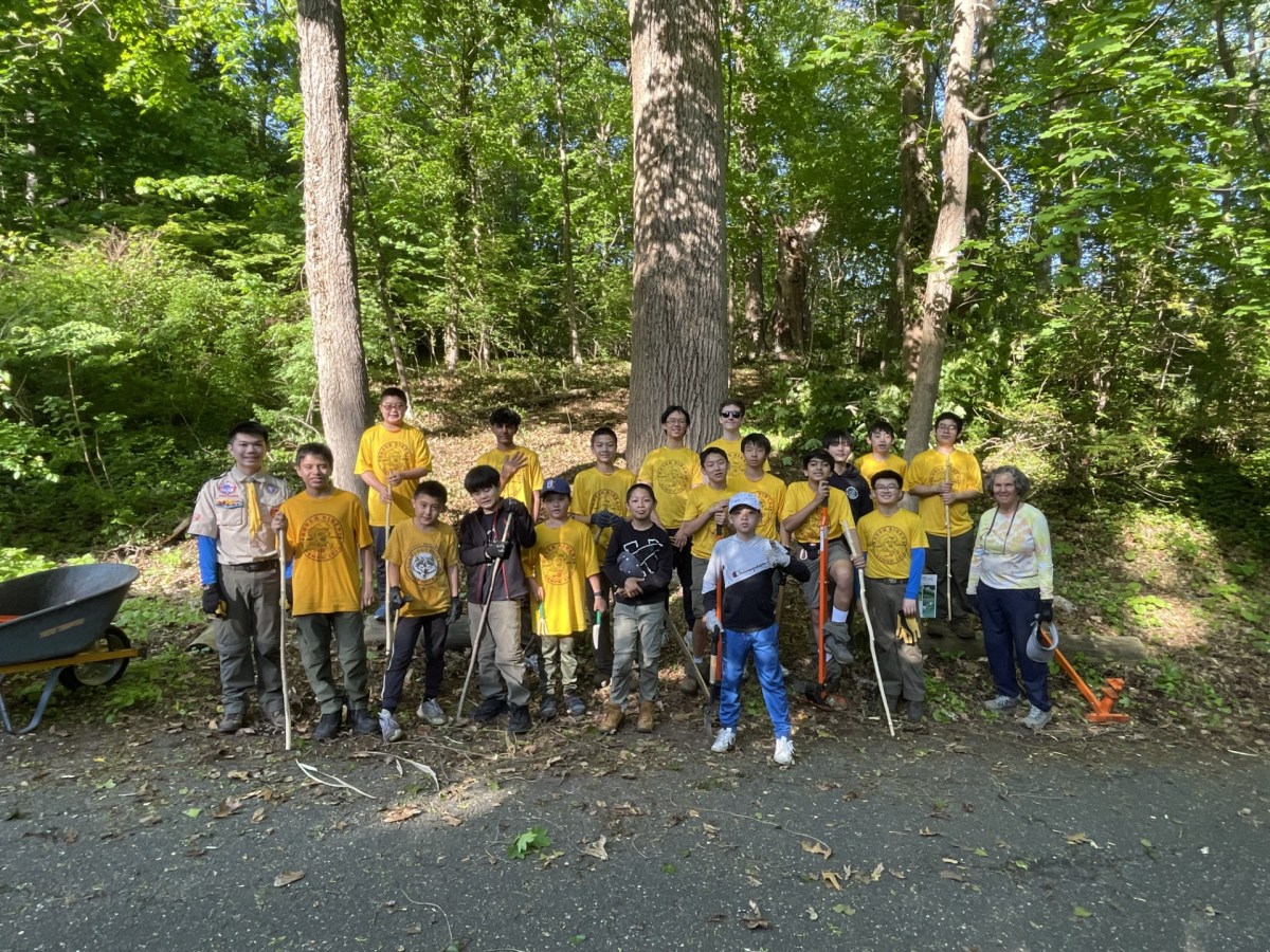 Great Neck Scout Troop 10 clearing Invasives on the Leeds Pond Preserve.