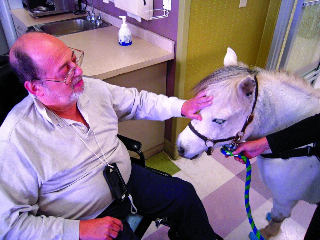 Horseability in Old Westbury earned the designation of Premier Accredited Center.
