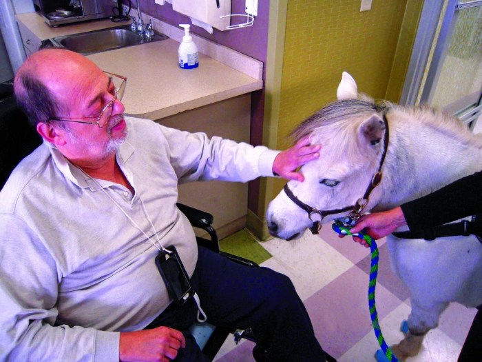 Horseability in Old Westbury earned the designation of Premier Accredited Center.